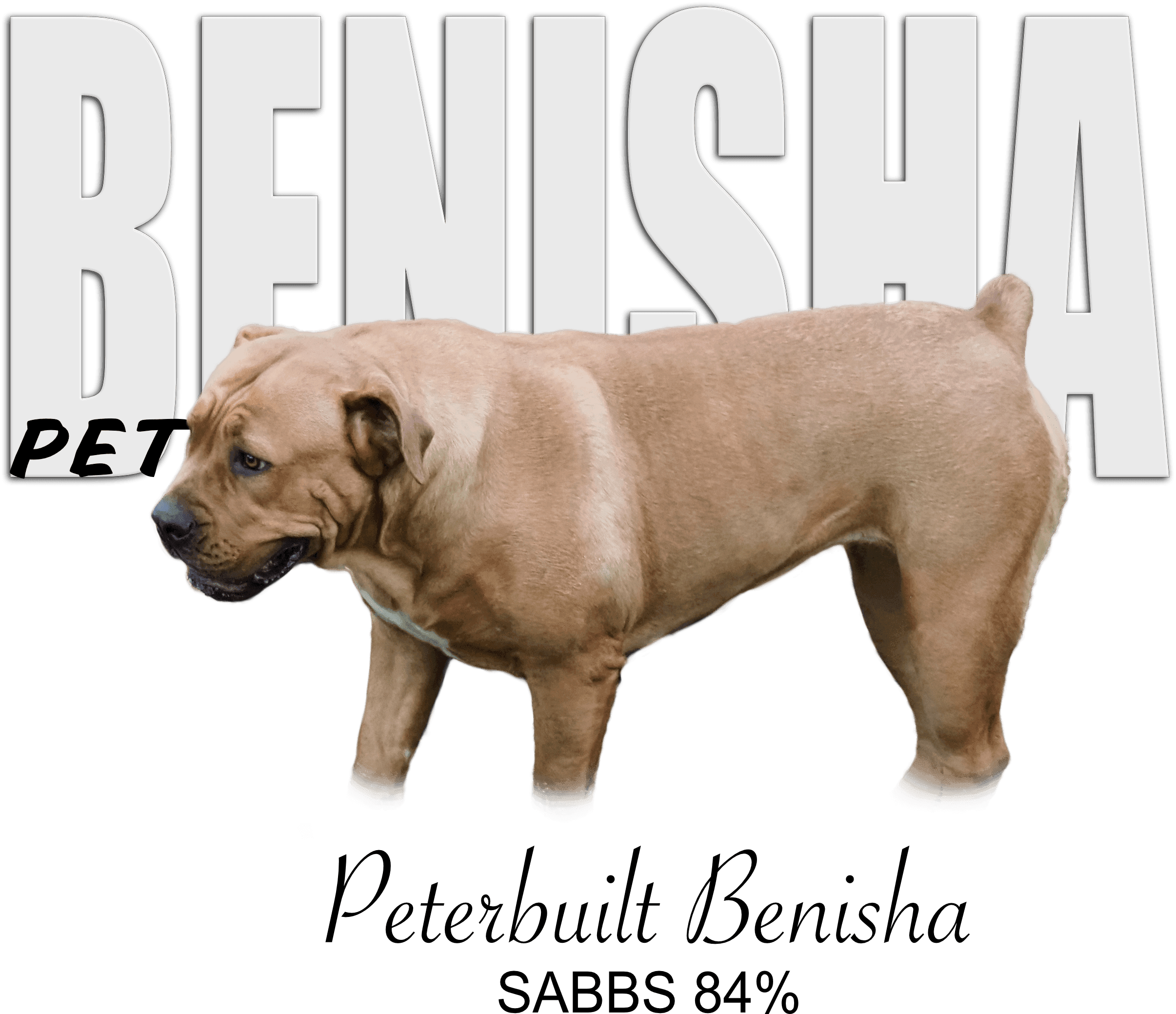 Benisha