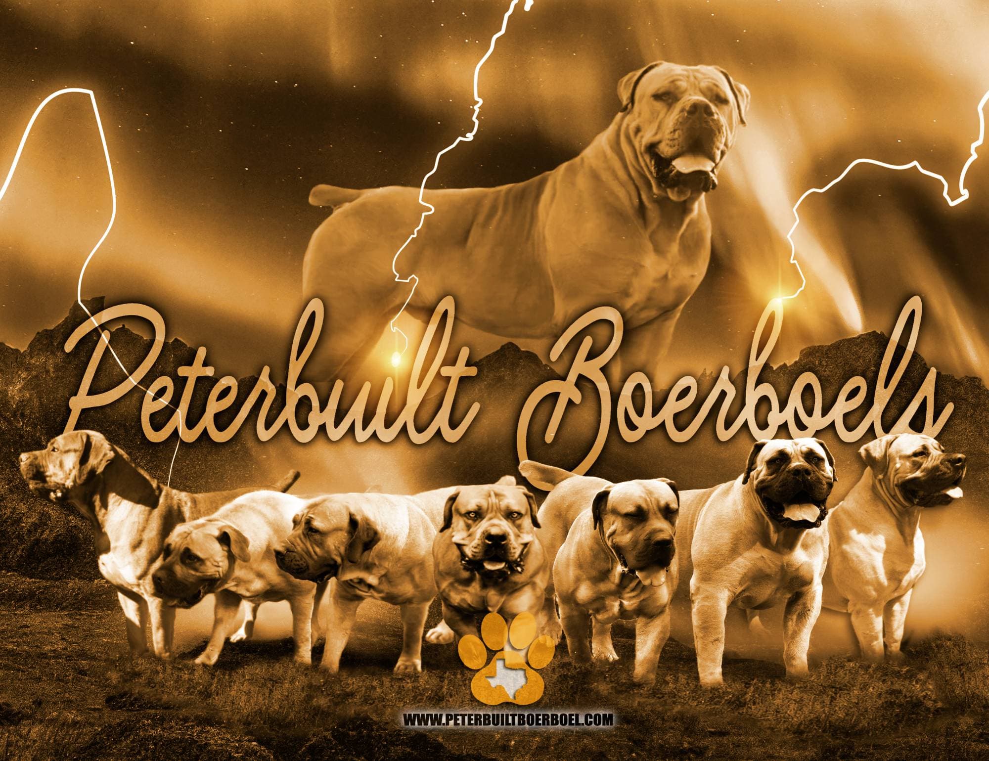 Peterbuilt Boerboels poster: our South African Boerboel males, females, and puppies under a stormy gold Texas sky